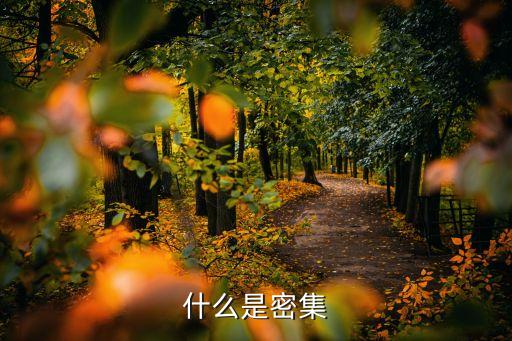 密集構(gòu)成，什么是密集