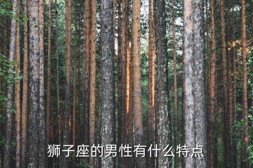 獅子座男人，獅子座男生好不好