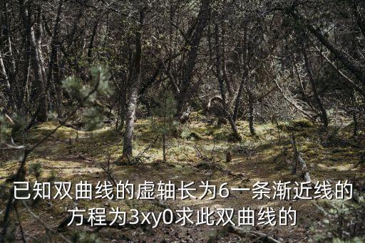 數學曲線，分段函數 lingo