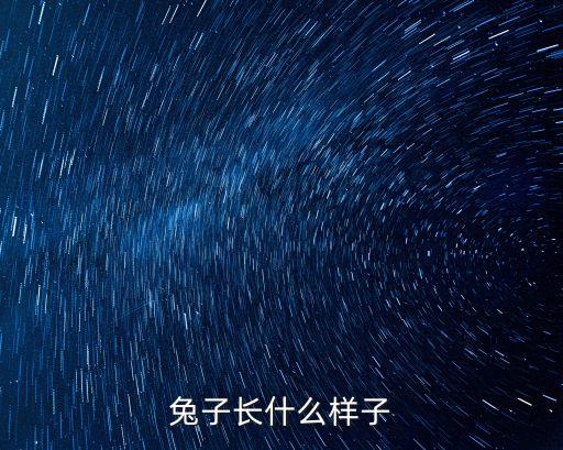 兔子的樣子，兔子長什么樣子