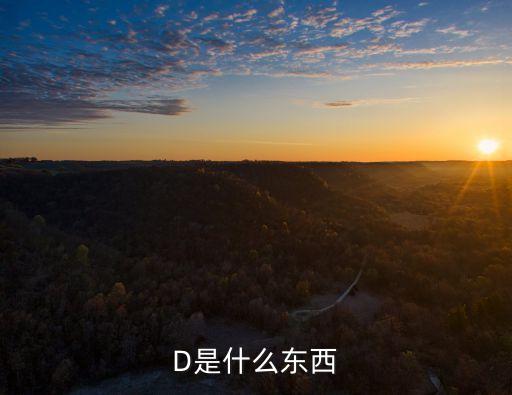字母d，D代表什么意思