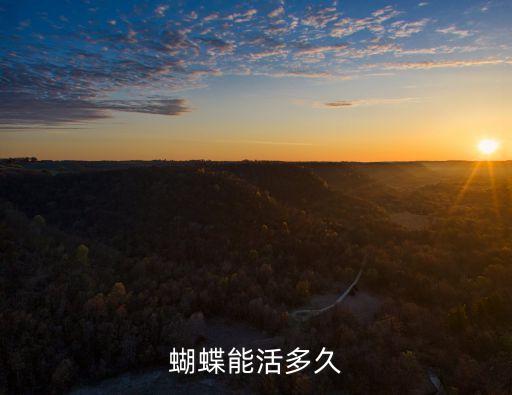 蝴蝶能活多久