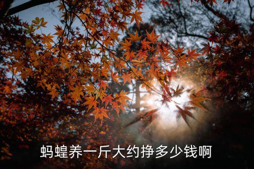 螞蝗養一斤大約掙多少錢啊
