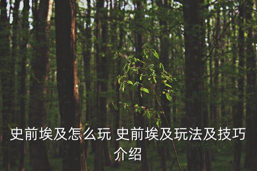 史前埃及，古代埃及甚或在什么河流域請寫出與其并稱四大上古文明的國家和地區(qū)