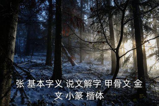 張時(shí)，用日語介紹名字時(shí)趙和張?jiān)趺磪^(qū)分