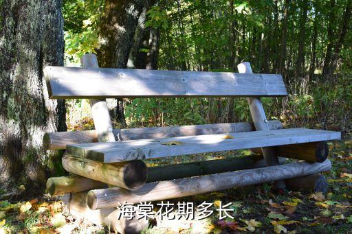 海棠花花期，海棠花期多長