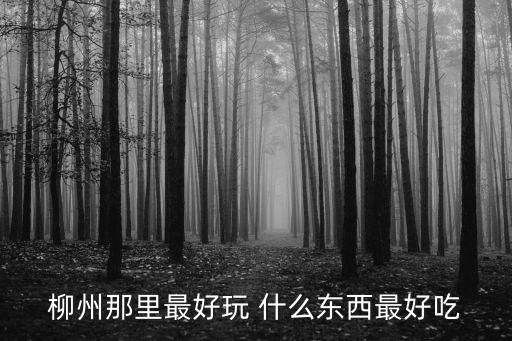 柳州那里最好玩 什么東西最好吃