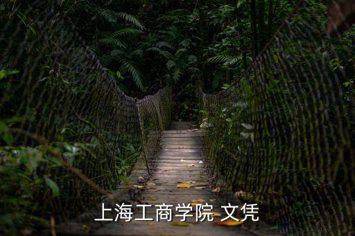 上海工商大學，上海工商學院是幾本