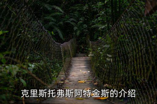克里斯托弗斯阿特金斯的介紹