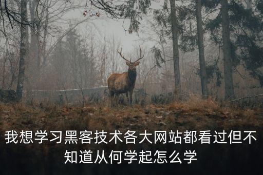 黑客技術教程，怎么當黑客怎么入門