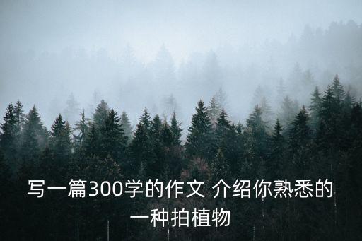 寫一篇300學(xué)的作文 介紹你熟悉的一種拍植物