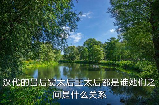 王太后，王太后是漢武帝親生母親嗎