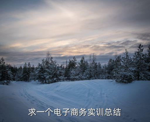 電子商務(wù)實(shí)訓(xùn)總結(jié)，求一個(gè)電子商務(wù)實(shí)訓(xùn)總結(jié)