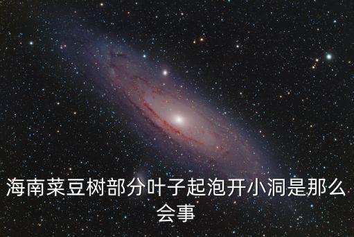 海南菜豆樹，海南菜豆樹部分葉子起泡開小洞是那么會事