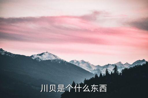 川貝是什么，川貝是什么能止咳嗎