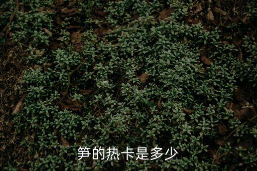 竹筍的熱量，筍的熱卡是多少