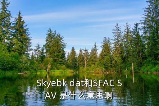 sfac，Skyebk dat和SFAC SAV 是什么意思啊