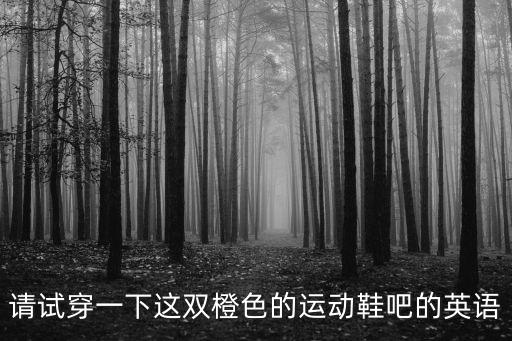 請試穿一下這雙橙色的運動鞋吧的英語