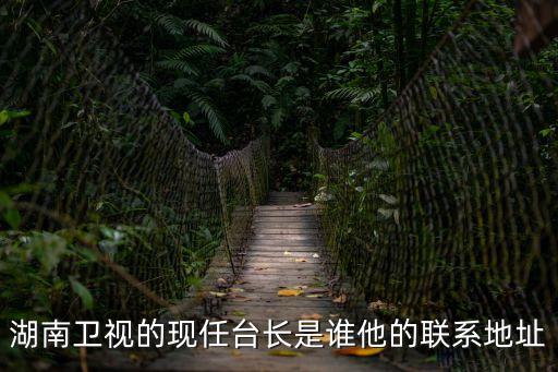 湖南衛視的現任臺長是誰他的聯系地址