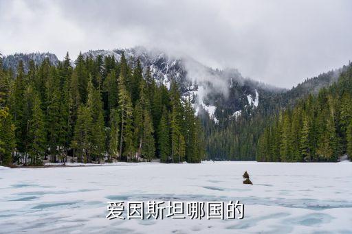 愛因斯坦是哪國人，愛因斯坦哪國的