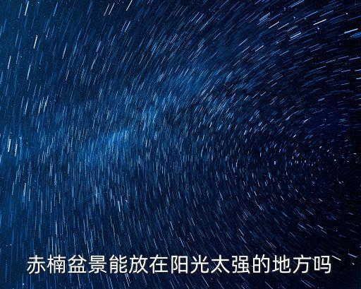 赤楠盆景能放在陽光太強的地方嗎