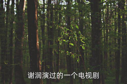 謝潤(rùn)演過(guò)的一個(gè)電視劇