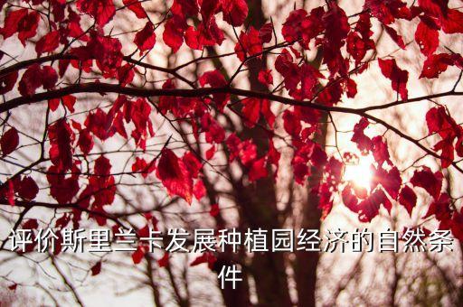 種植園經(jīng)濟，評價斯里蘭卡發(fā)展種植園經(jīng)濟的自然條件