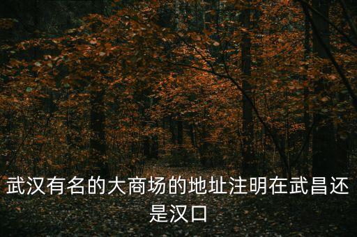 武漢商場排名，武漢哪個商場最大最漂亮最好逛
