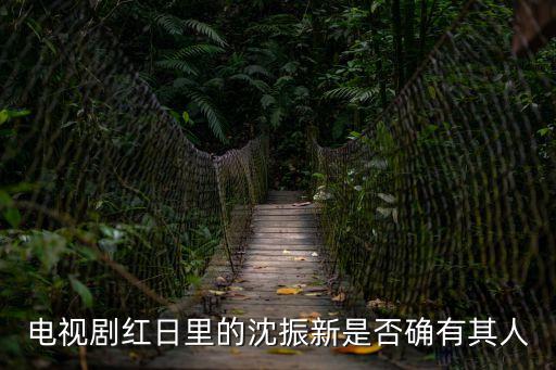 電視劇紅日里的沈振新是否確有其人