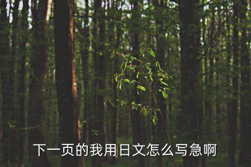 下一頁的我用日文怎么寫急啊