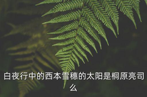 白夜行中的西本雪穗的太陽是桐原亮司么