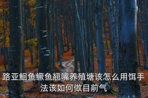 路亞鮰魚鱖魚翹嘴養殖塘該怎么用餌手法該如何做目前氣