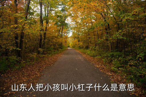 山東人把小孩叫小杠子什么是意思