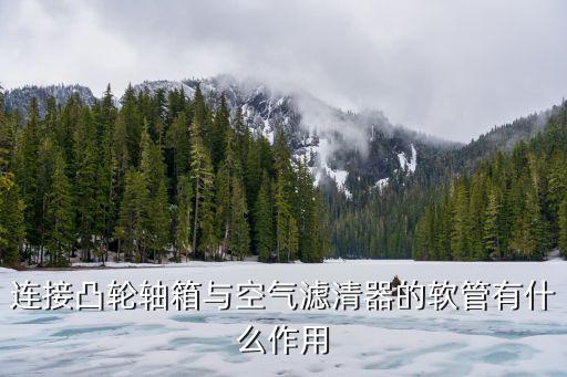 凸輪親管，連接凸輪軸箱與空氣濾清器的軟管有什么作用