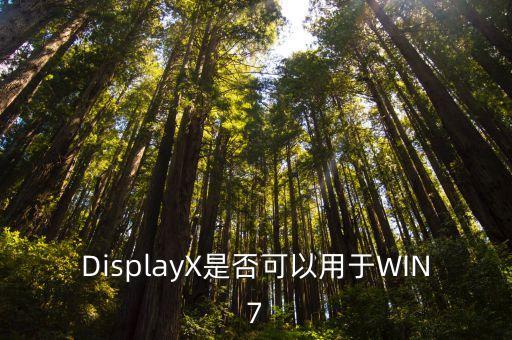 DisplayX是否可以用于WIN7