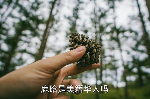 鹿晗國籍，EXOM的鹿晗是哪國人