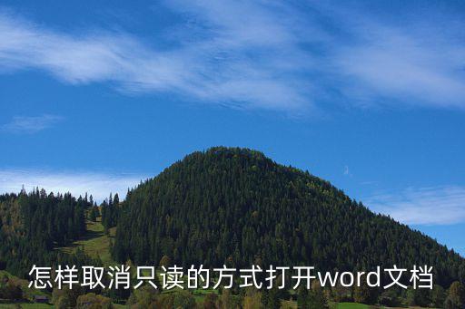 怎么取消只讀模式，wps怎么取消只讀模式