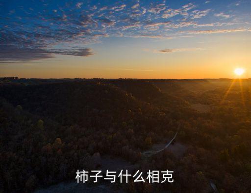 柿子與什么相克