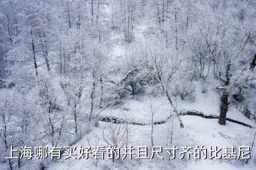 可愛比基尼，上海哪有買好看的并且尺寸齊的比基尼
