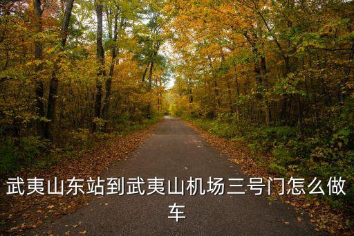 武夷山機場，武夷山東站到武夷山機場三號門怎么做車