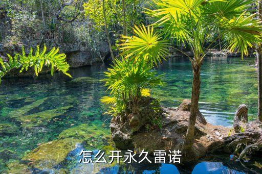 永久雷諾怎么開，雷諾怎么開永久求教