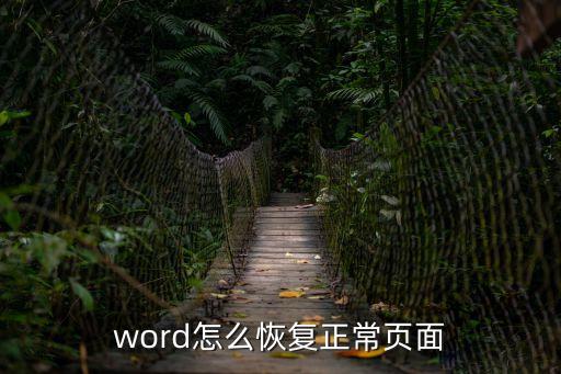 word怎么恢復(fù)正常頁(yè)面