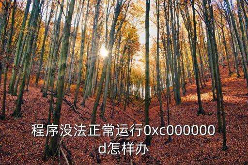 0xc000000d，應用程序無法正常啟動0xc000000d 請單擊確定關閉應用程序