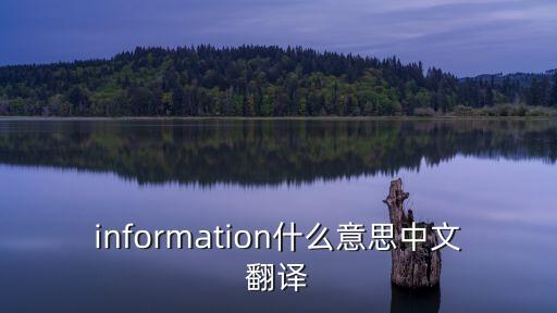 information什么意思中文翻譯