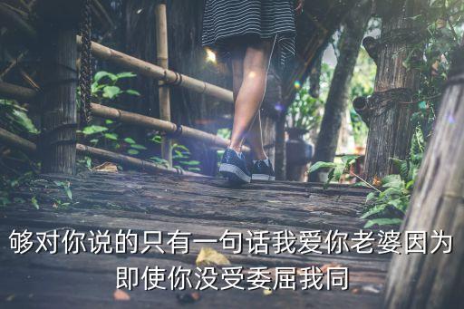我愛你老婆，夠對你說的只有一句話我愛你老婆因為即使你沒受委屈我同