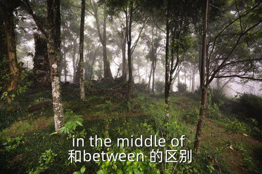 in the middle of 和between 的區別