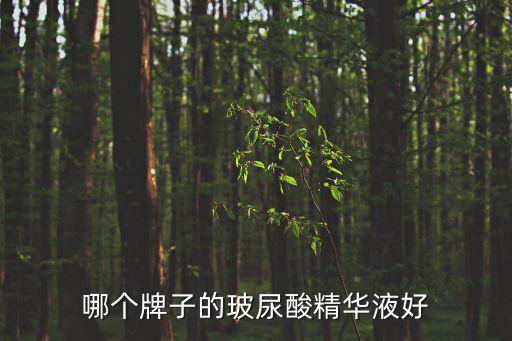 玻尿酸精華液，哪個牌子的玻尿酸精華液好