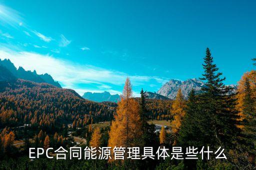 epc合同，EPC總承包合同的當(dāng)事人雙方是