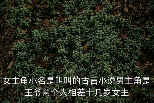女主角小名是叫叫的古言小說男主角是王爺兩個人相差十幾歲女主
