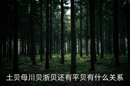 土貝母川貝浙貝還有平貝有什么關系